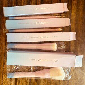 VDL Pantone Limited Edition makeup brush set